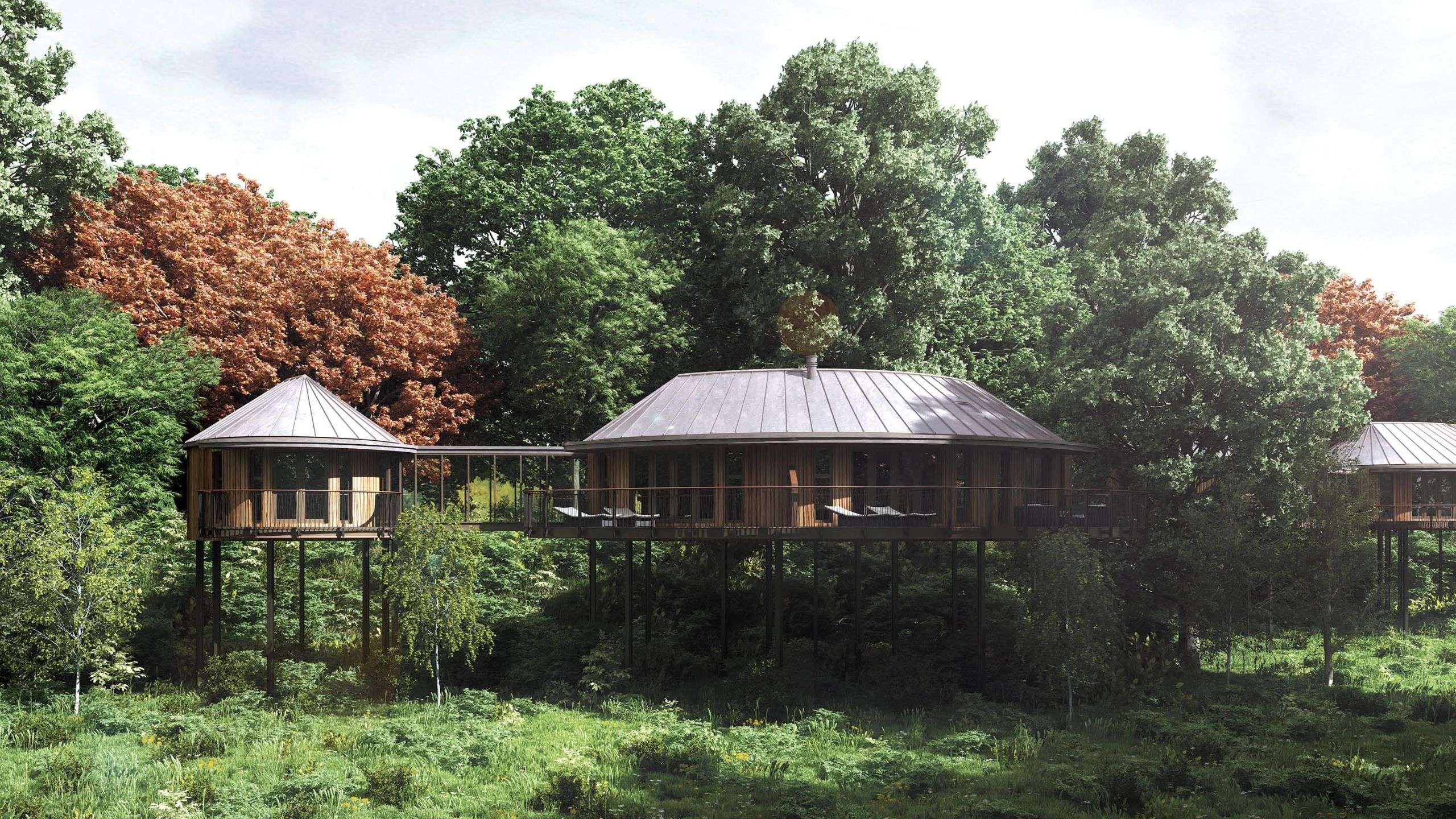 Project - Chewton Glen - Treehouses 006