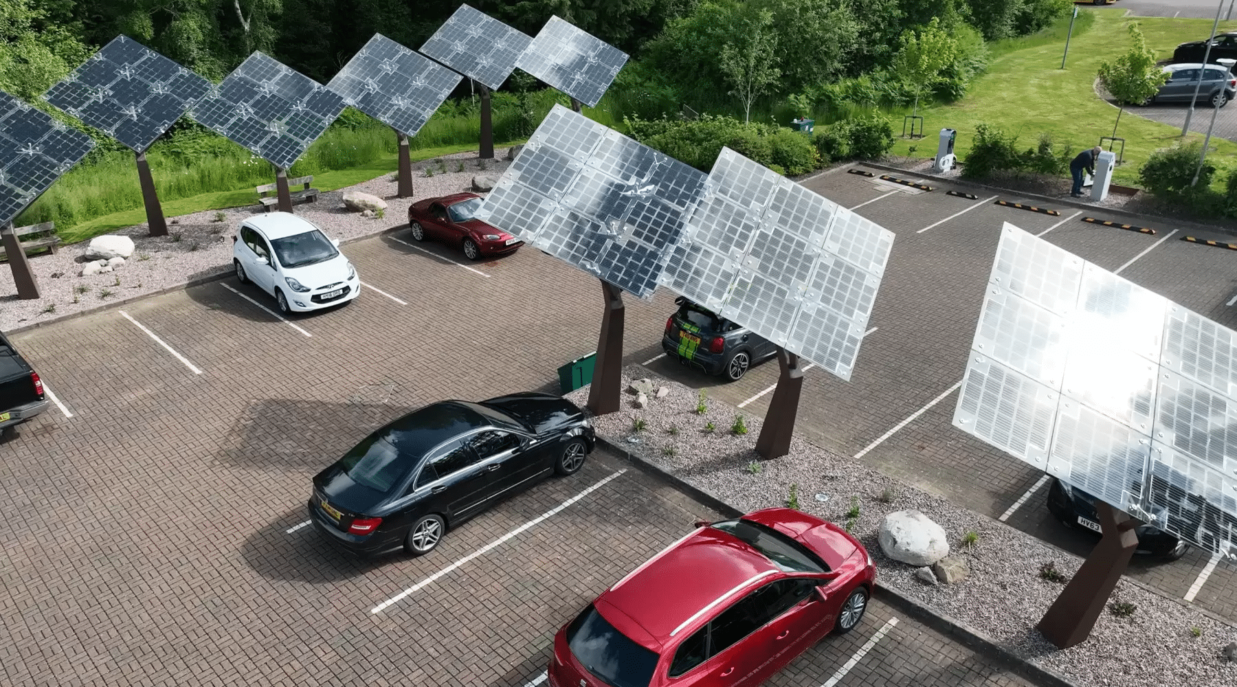 solar-tree-5 [Resized]